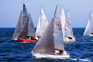 HYPPOCAMPTUS_IMG_1177-wr-